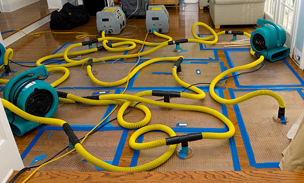 Professional Crawl Space Water Removal technician working in Bryson, TX